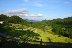 田んぼと私。