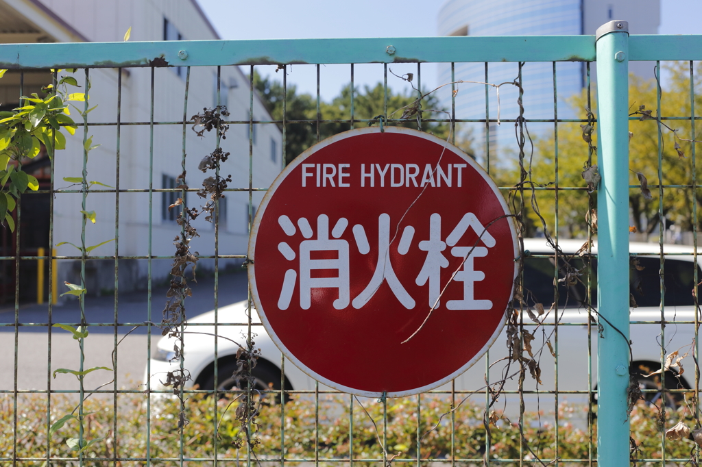 巻き付く
