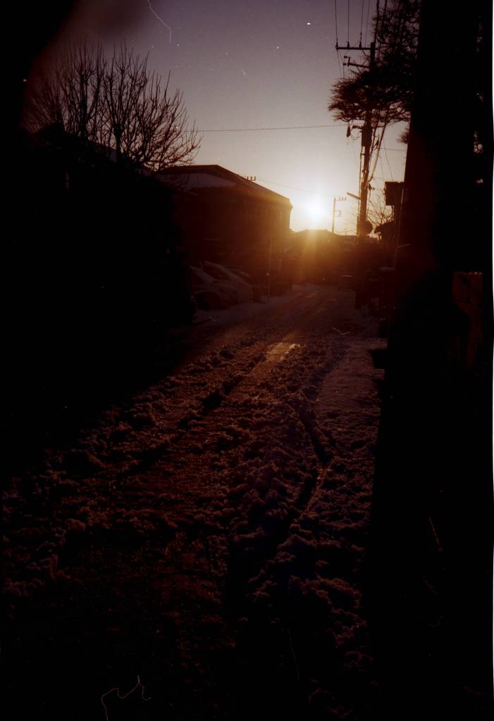 朝