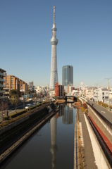 晴天のスカイツリー