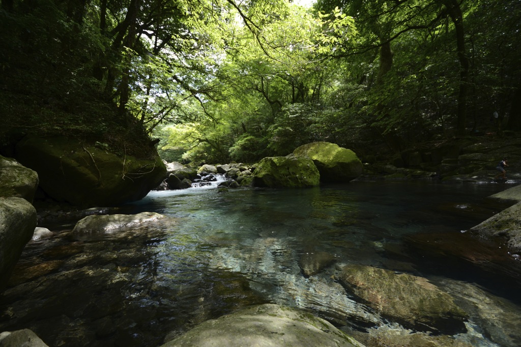 菊池渓谷