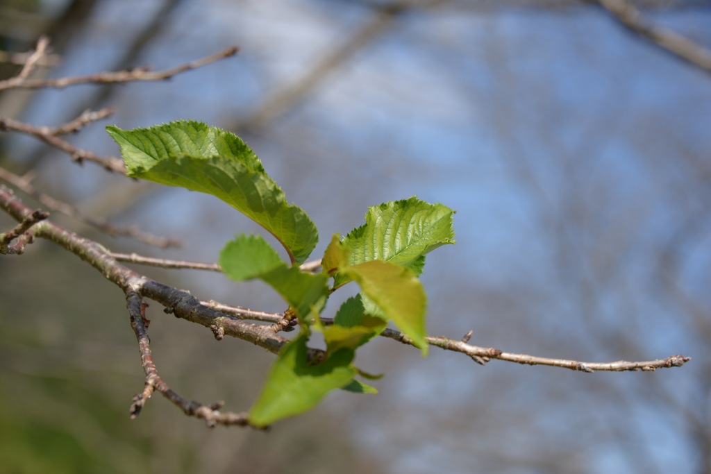 石のかざぐるま公園（熊本県山鹿市）