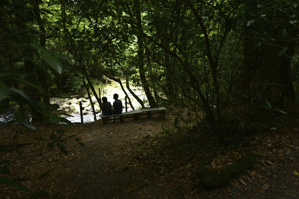 菊池渓谷