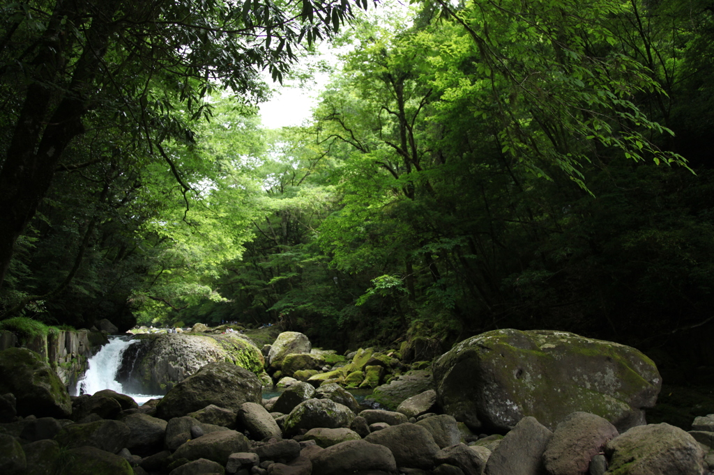 菊池渓谷