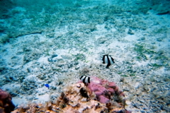 沖縄