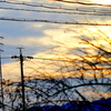 夕焼け