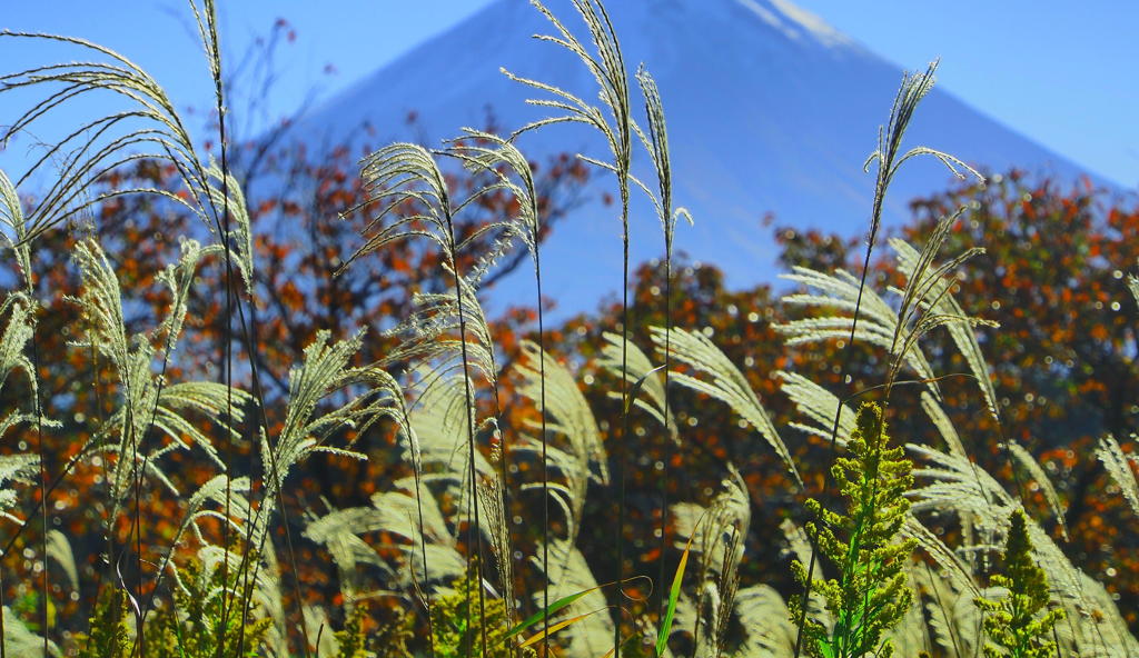 富士山