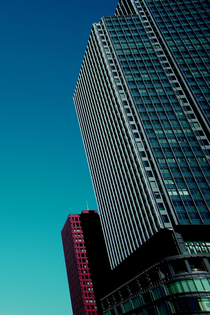 Concrete jungle