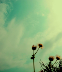 散歩