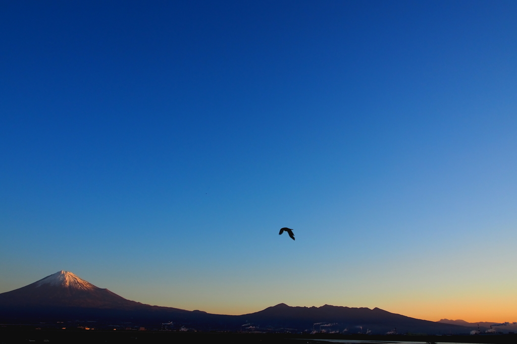 富士山