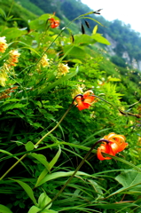 白馬岳