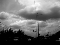 monochrome