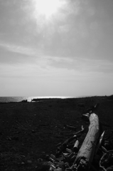 海