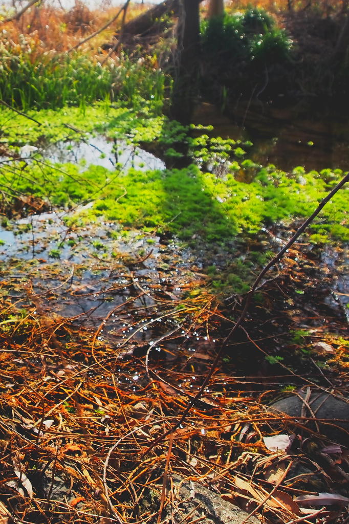 何気ない風景