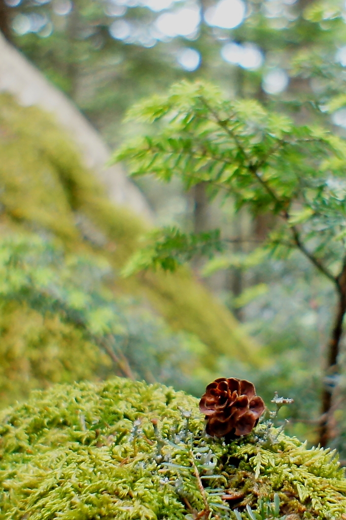 鳳凰三山