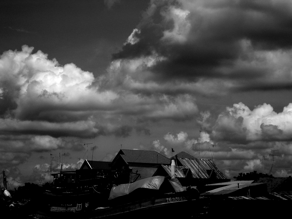 monochrome