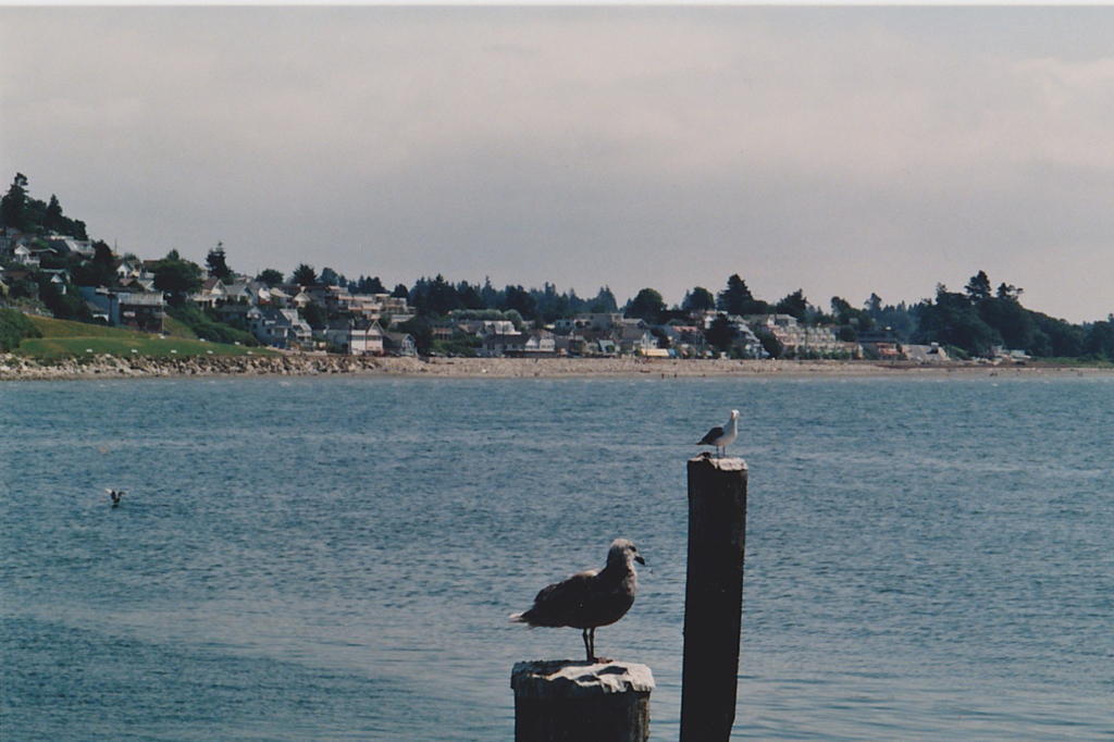 Canada White Rock