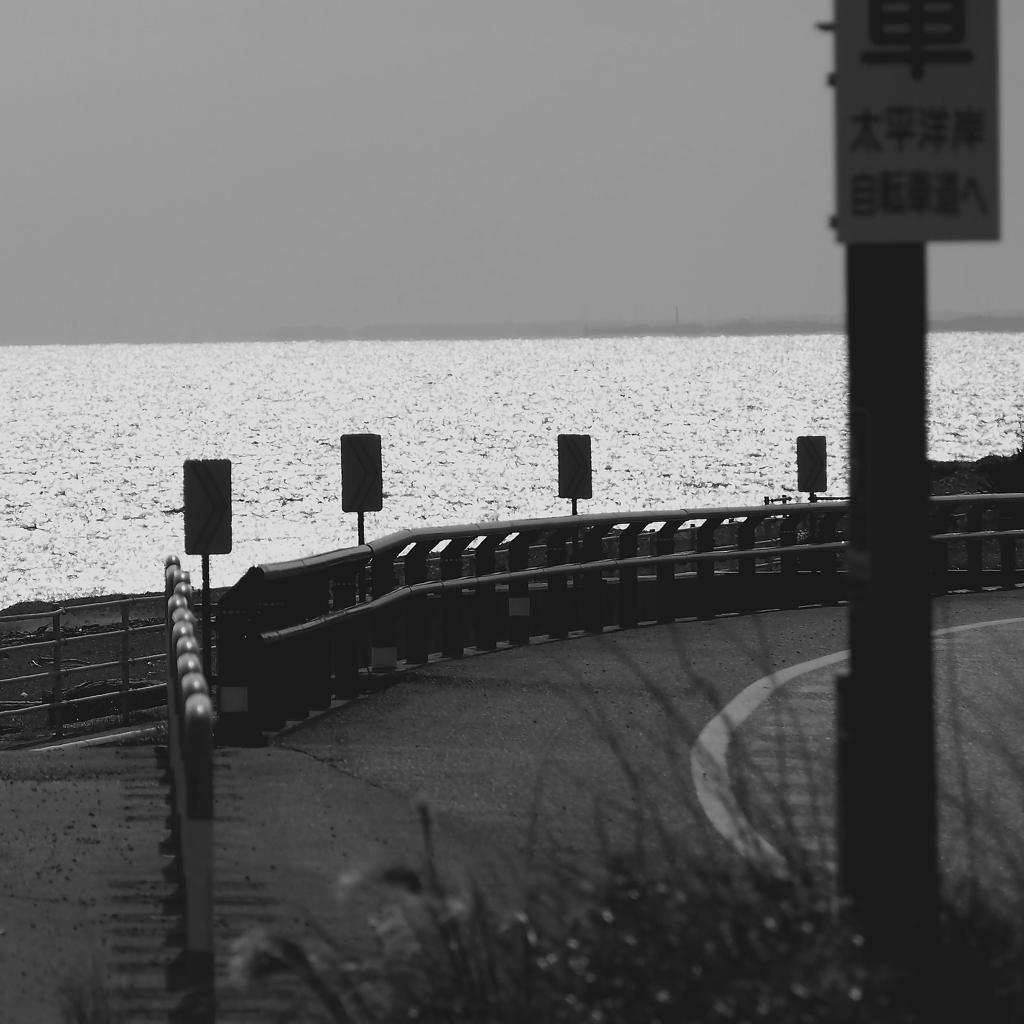 海岸線