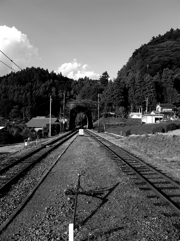C11190