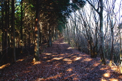 長者ヶ岳