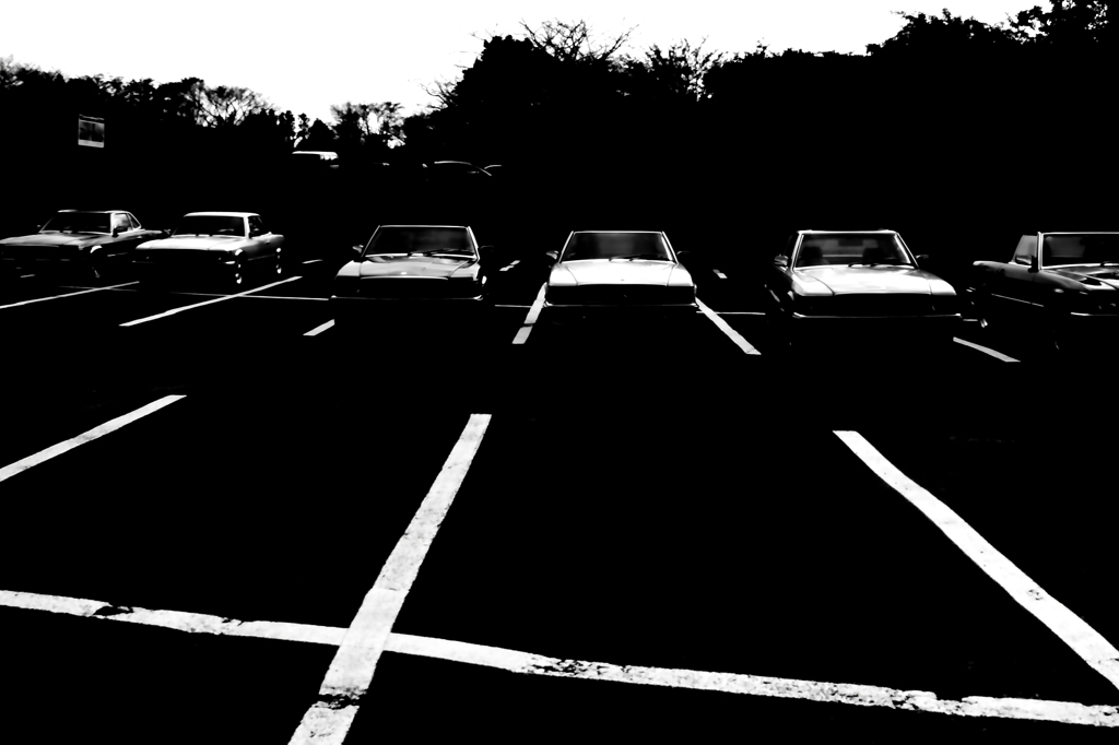 monochrome