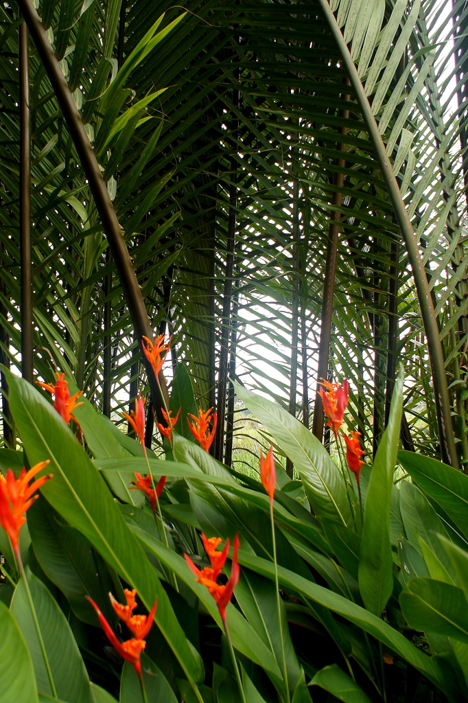 Viet Nam