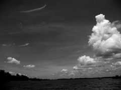 monochrome