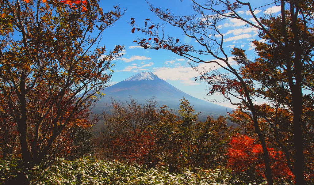 富士山