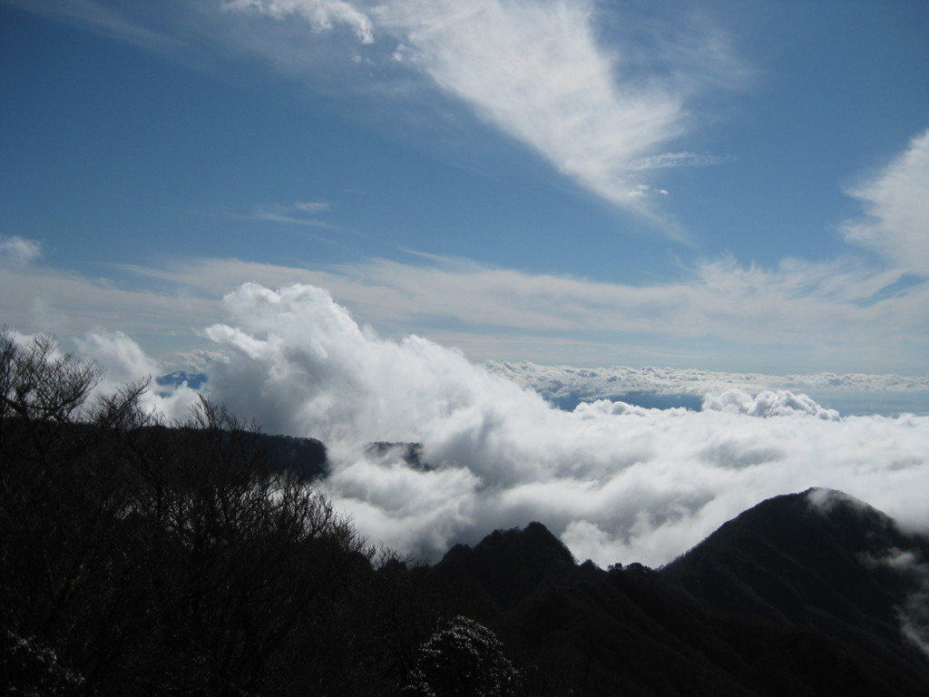 雲海