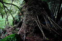 葵高原・地蔵峠・青笹