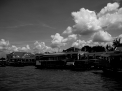 monochrome