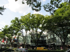 Omotesando