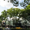 Omotesando