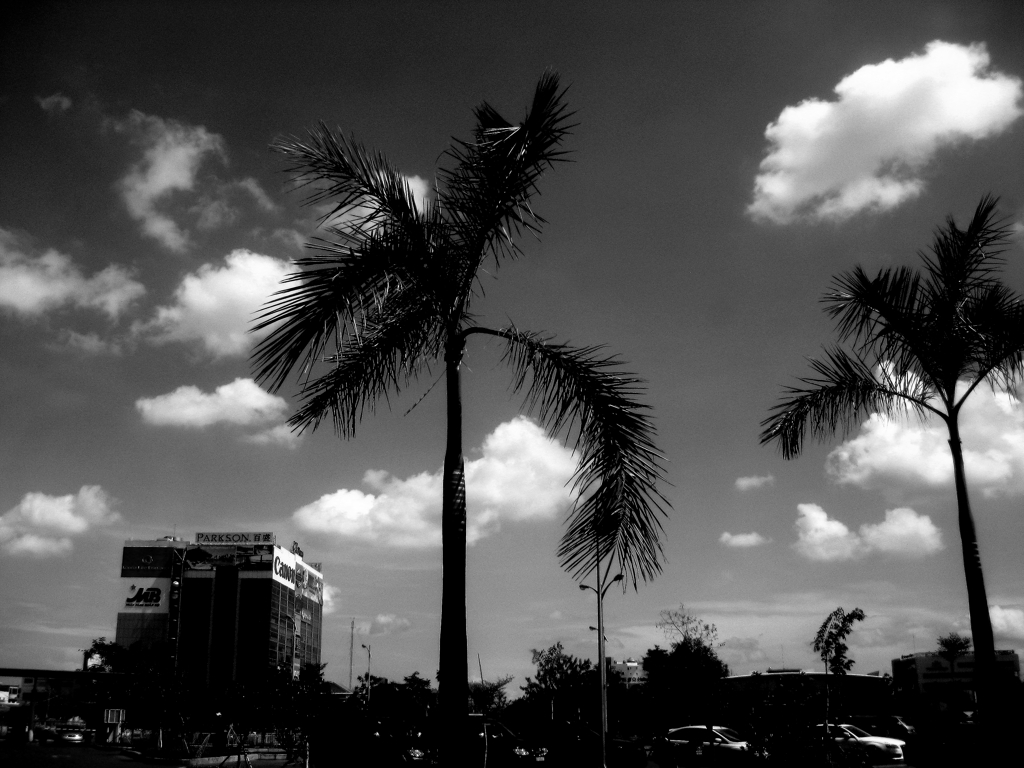 monochrome