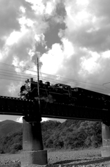 C11190