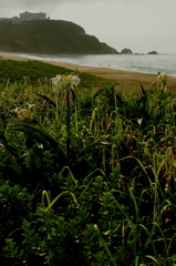 伊良湖岬