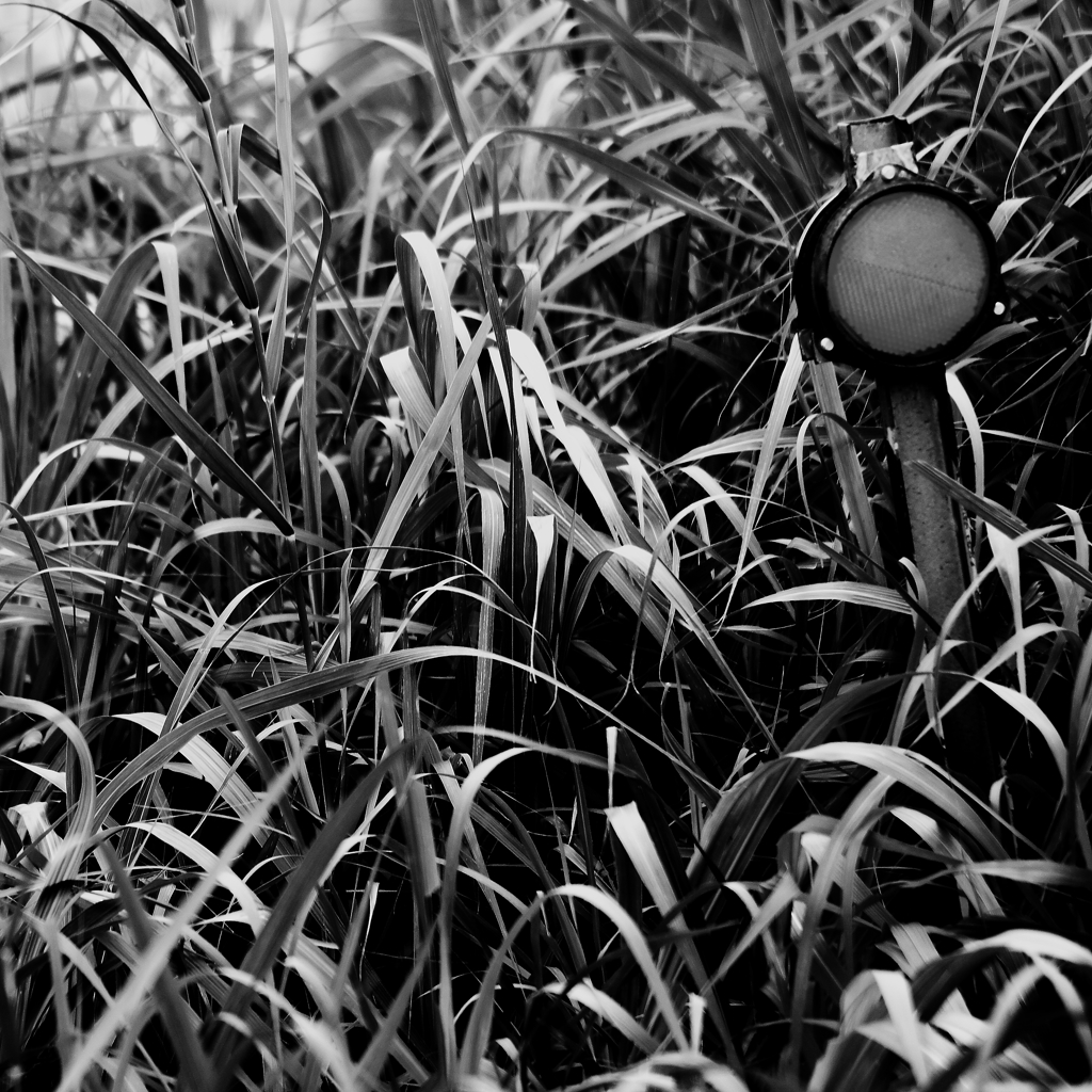 monochrome