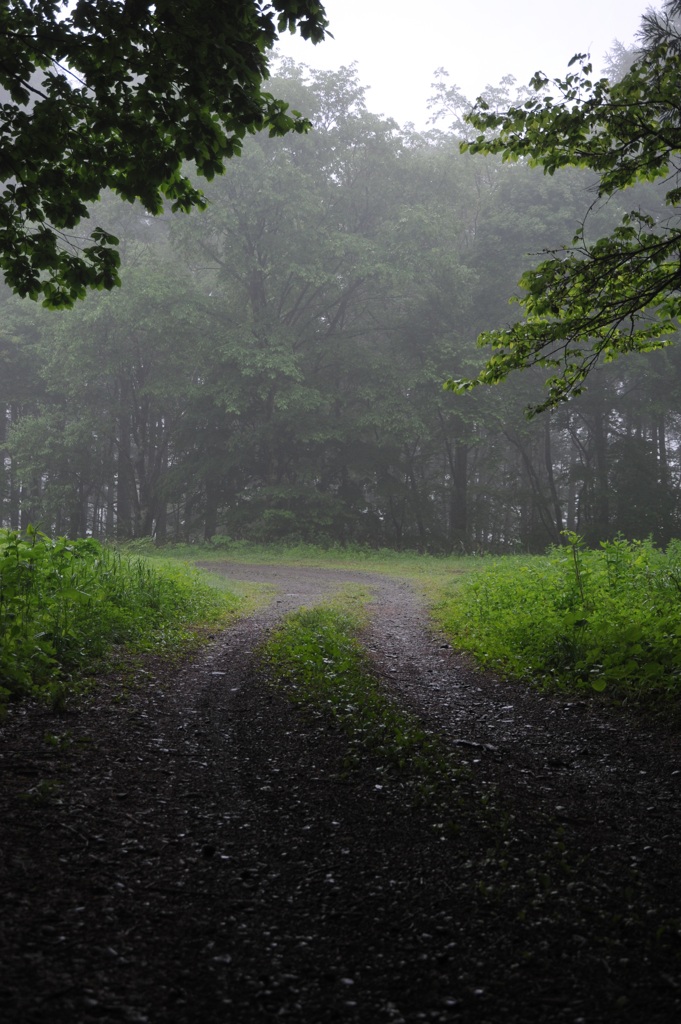 霧の山道