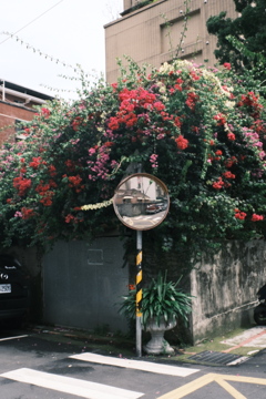 240430 Taiwan