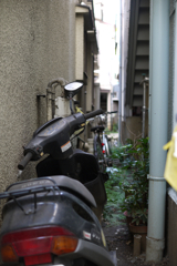奥の自転車出せません