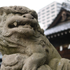 平たい顔族の眷属