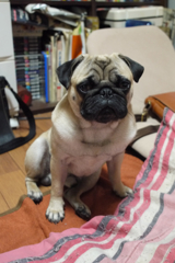 おっさん
