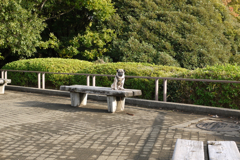 公園散歩