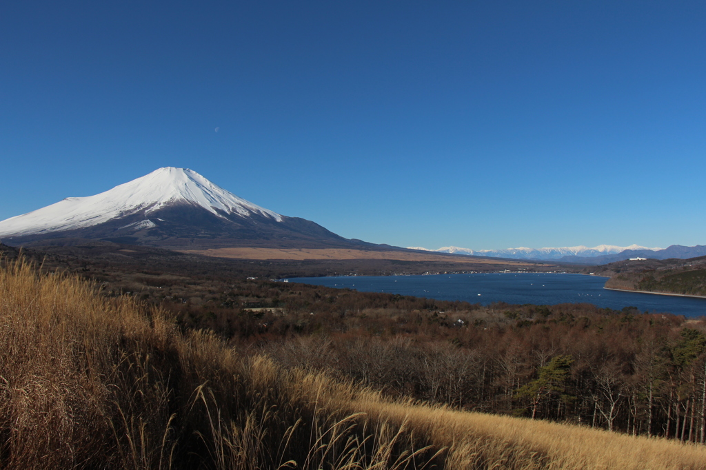 冬の風景