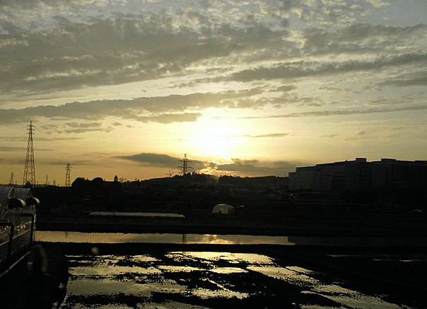田植え＆夕暮れ