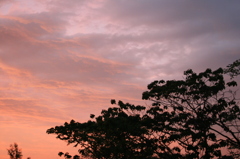 夕焼け