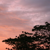 夕焼け
