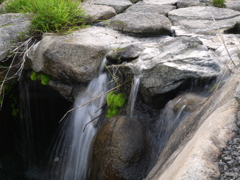 石・苔・水