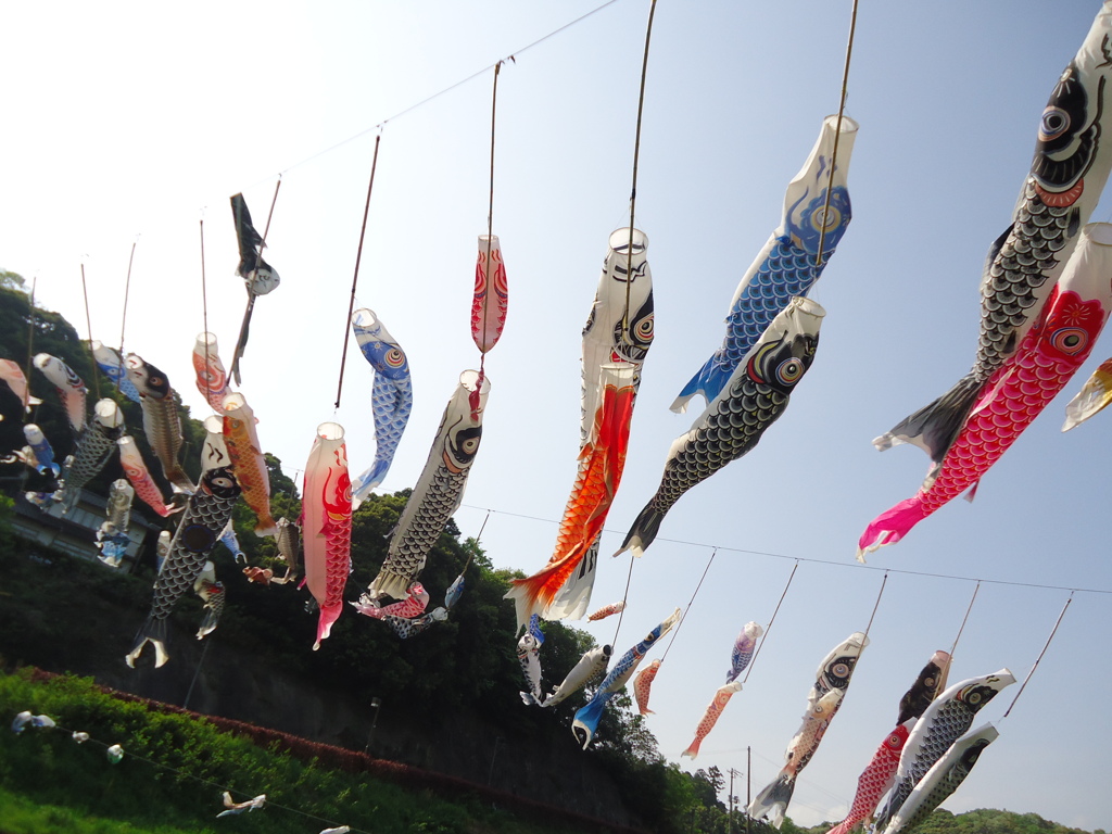 風に泳ぐ