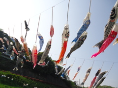 風に泳ぐ